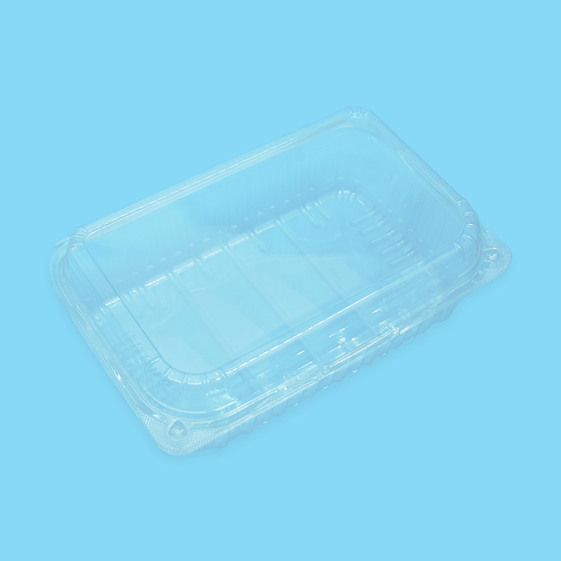 Customized Disposable Transparent Plastic Food Packaging Blister Tray